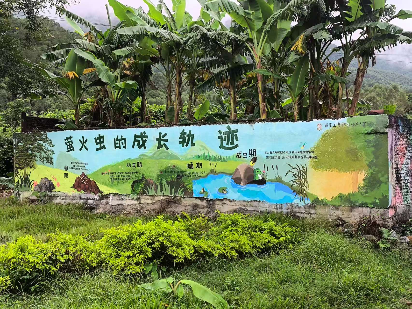 微信图片_20251104151954_2607_149.jpg 微信图片_20251104151954_2607_149.jpg